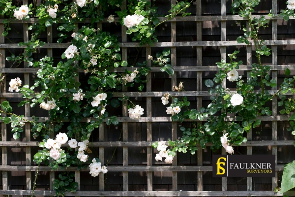 Can I put trellis on my Neighbours garage wall? 2 Do you want to adapt your neighbours garage door and add a trellis Borehamwood? Talk to Faulkner Surveyor Borehamwood